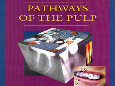 Pathways of The Pulp, Ebook