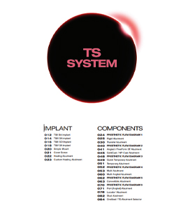 کاتالوگ TS system | TS system
