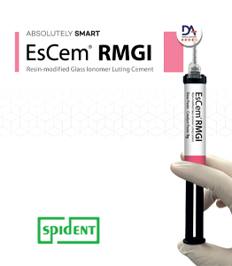 کاتالوگ EsCem RMGI | EsCem RMGI