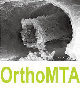 کاتالوگ محصولات بایو ای تی ای | Catalog BIO MTA