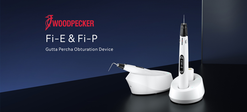 آبچوراتور (تزریق گرم گوتاپرکا)،وودپیکر،وودپیکر،woodpecker,fie-fip